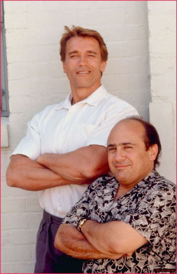 Arnold Schwarzenegger And Danny DeVito's Iconic Comedy