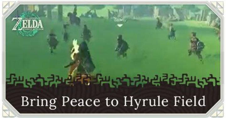 Bring Peace To Hyrule Field ·