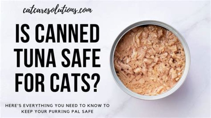 Can kittens eat tuna?