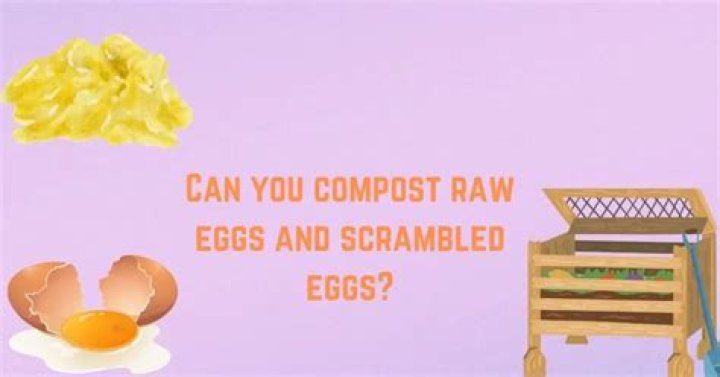 Can you compost scrambled eggs?