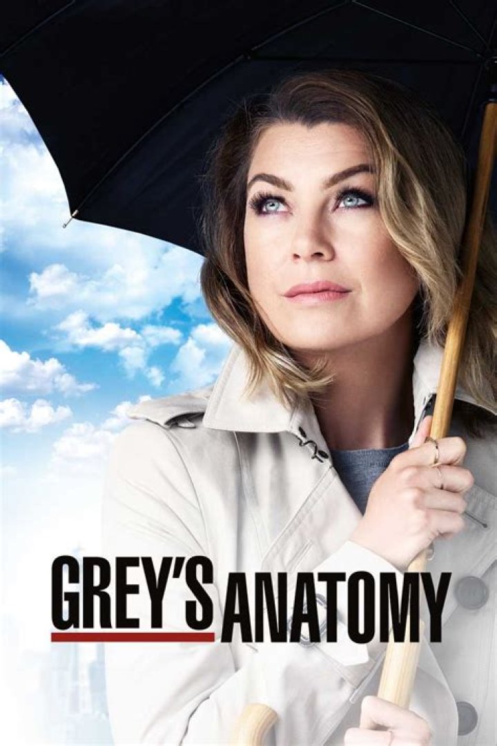 Discover The Length Of "Grey's Anatomy" Through Its Seasons