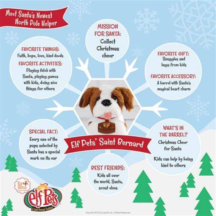 Do Elf Pets have names?