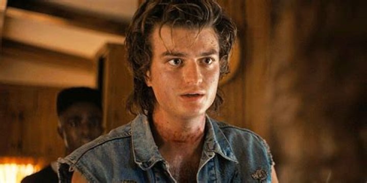 Does Stranger Things Star Joe Keery Support The Palestinian Cause?