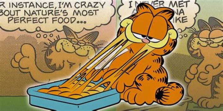Garfield's favorite food ·
