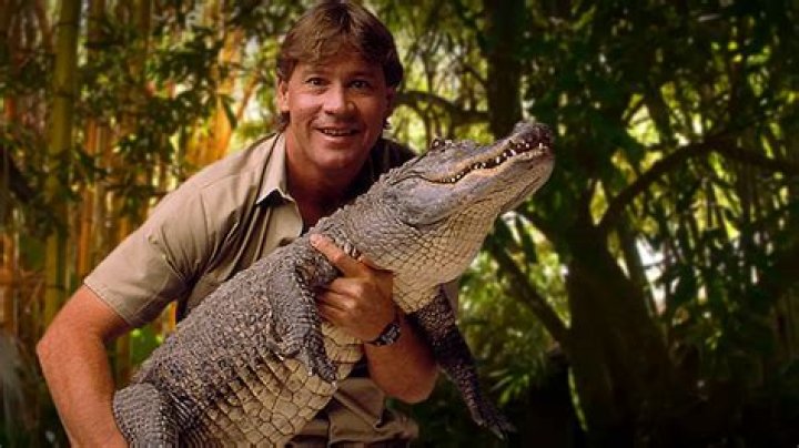 How Did Steve Irwin Die, Know More About The Crocodile Hunter ·