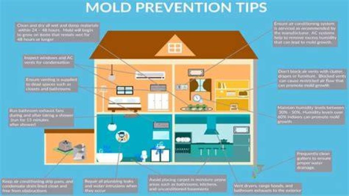 How do I keep my house mold free?