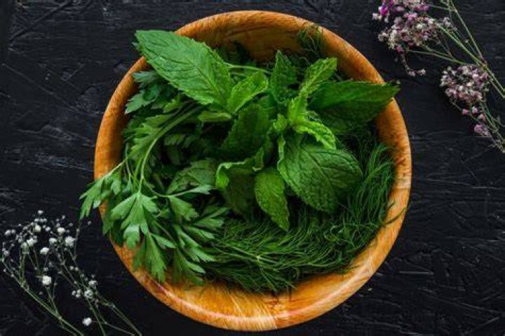 How many basil leaves can I eat daily?