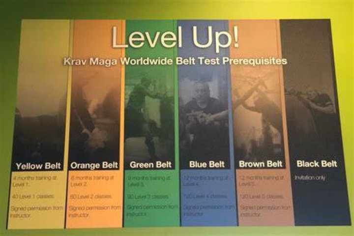 How many black belts are there in Krav Maga?