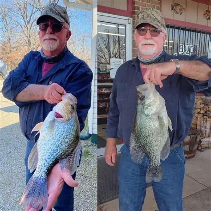 How many inches is a 4 pound crappie?