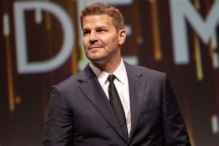 Is David Boreanaz's Son An Actor?