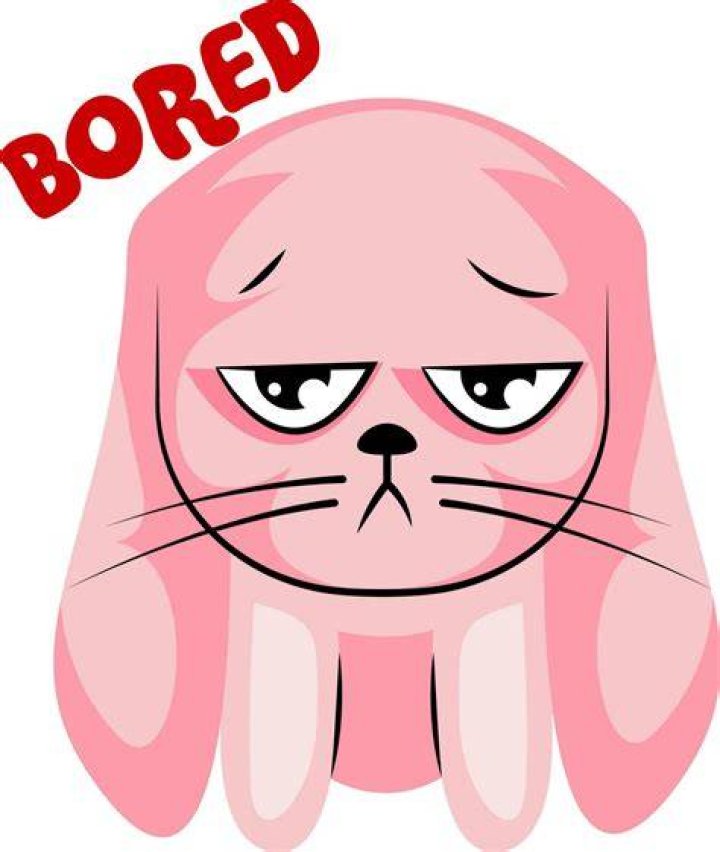 Is my bunny bored?