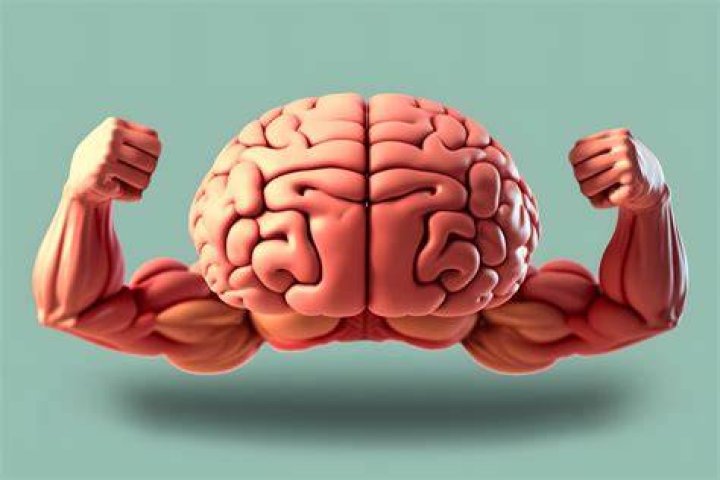 Is your brain a muscle?