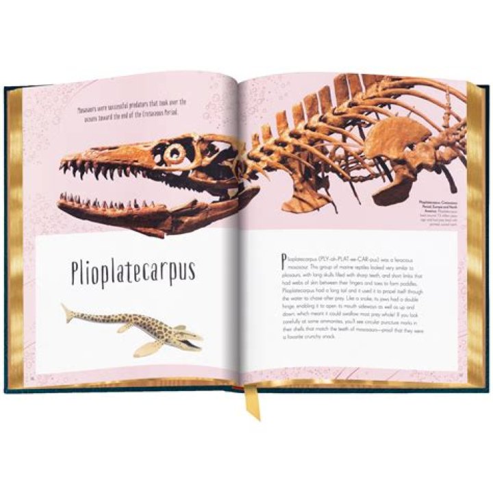 The Complete Guide To Carol Burnett's Facelift