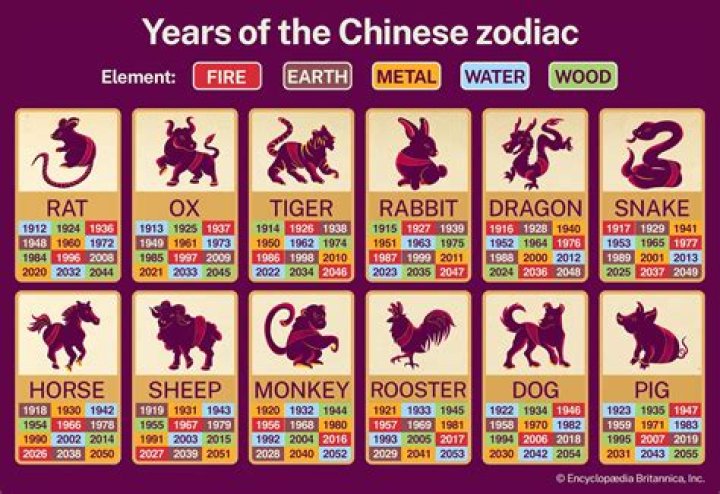 The Definitive Guide To The Chinese Zodiac 2018: Predictions And Insights