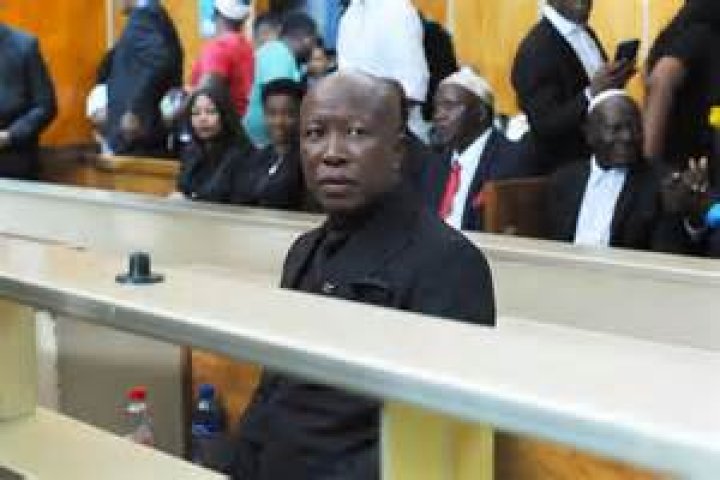 The Era Of Julius Malema: Impact And Legacy