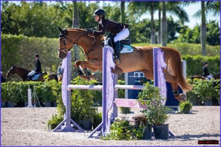 The Inspiring Entrepreneur: Teddi Pritzker