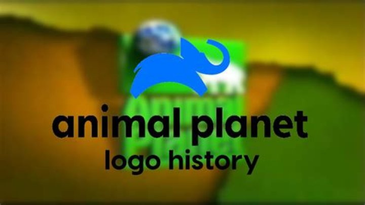 The Man Behind Animal Planet's Success