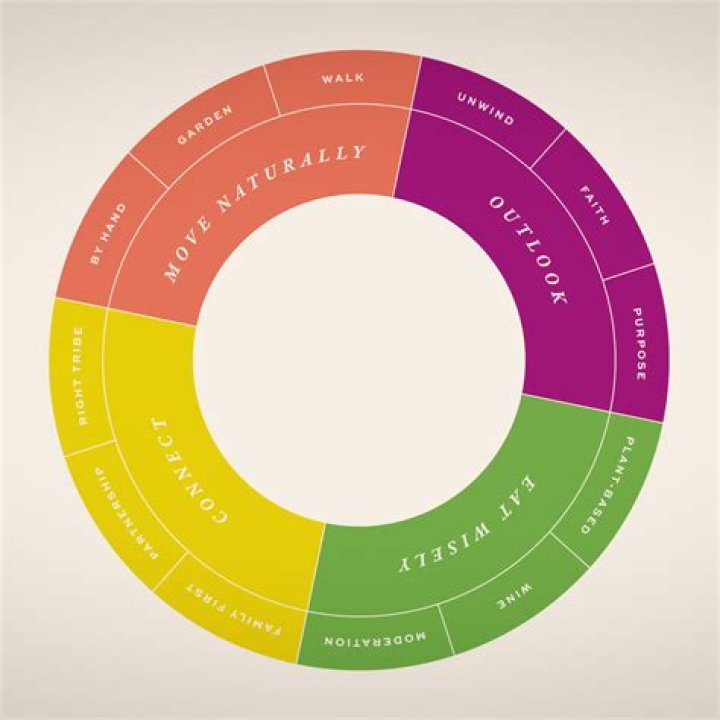 Unlock The Secrets Of Saxon O'Loughlin: Uncover Innovative Tech Solutions