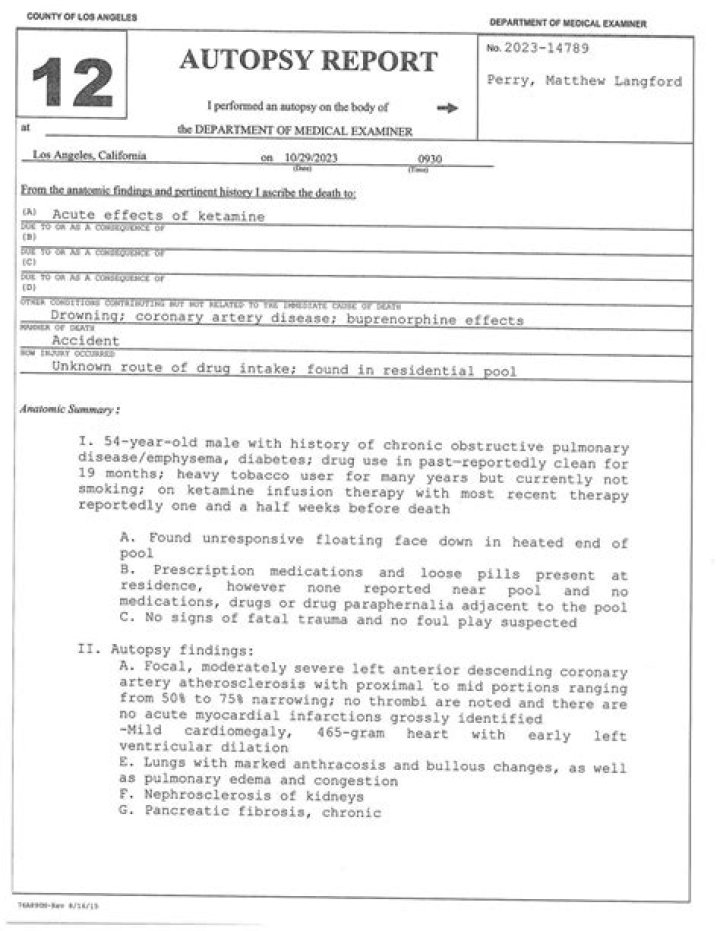 Unveiling Aubrey Wyatt's Autopsy Report: A Comprehensive Analysis