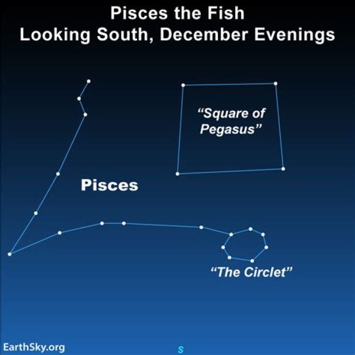 What are Pisces talents?