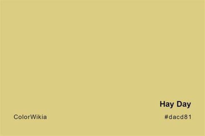 What color is hay?