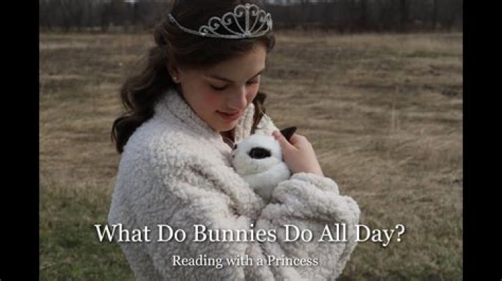 What do bunnies do all day?