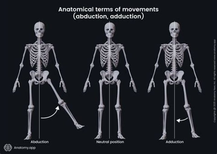 What does abduction mean in biology?