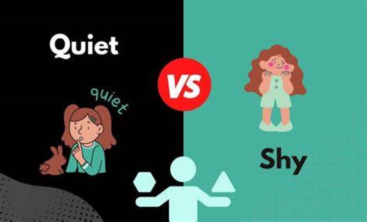 What does shy quiet person mean?