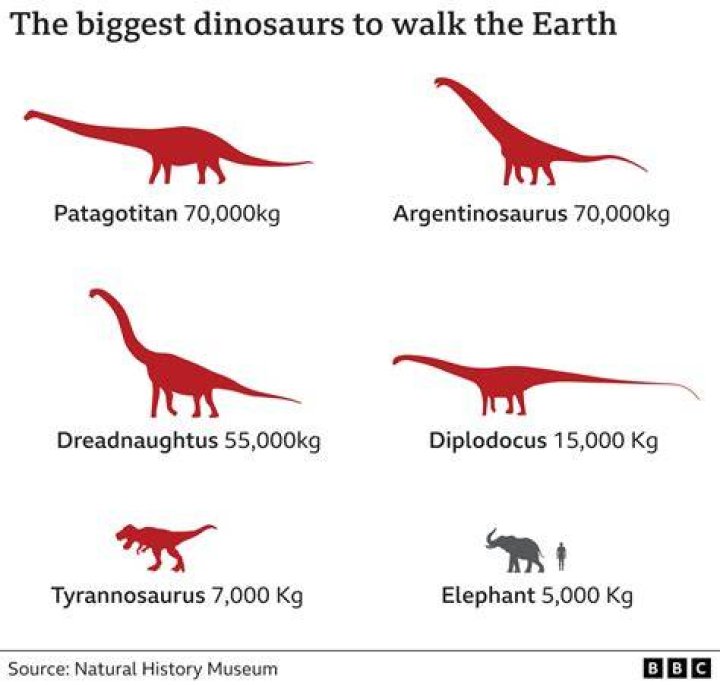 What is the biggest dinosaur?