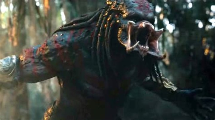 What is the ultimate predator?
