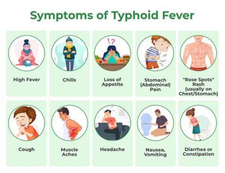 What should we drink in typhoid?