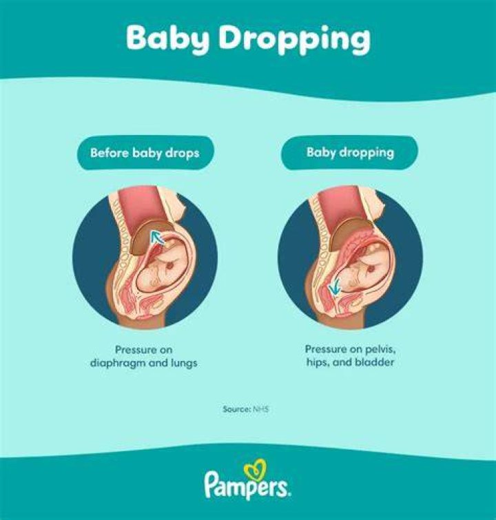 When does a baby usually drop?