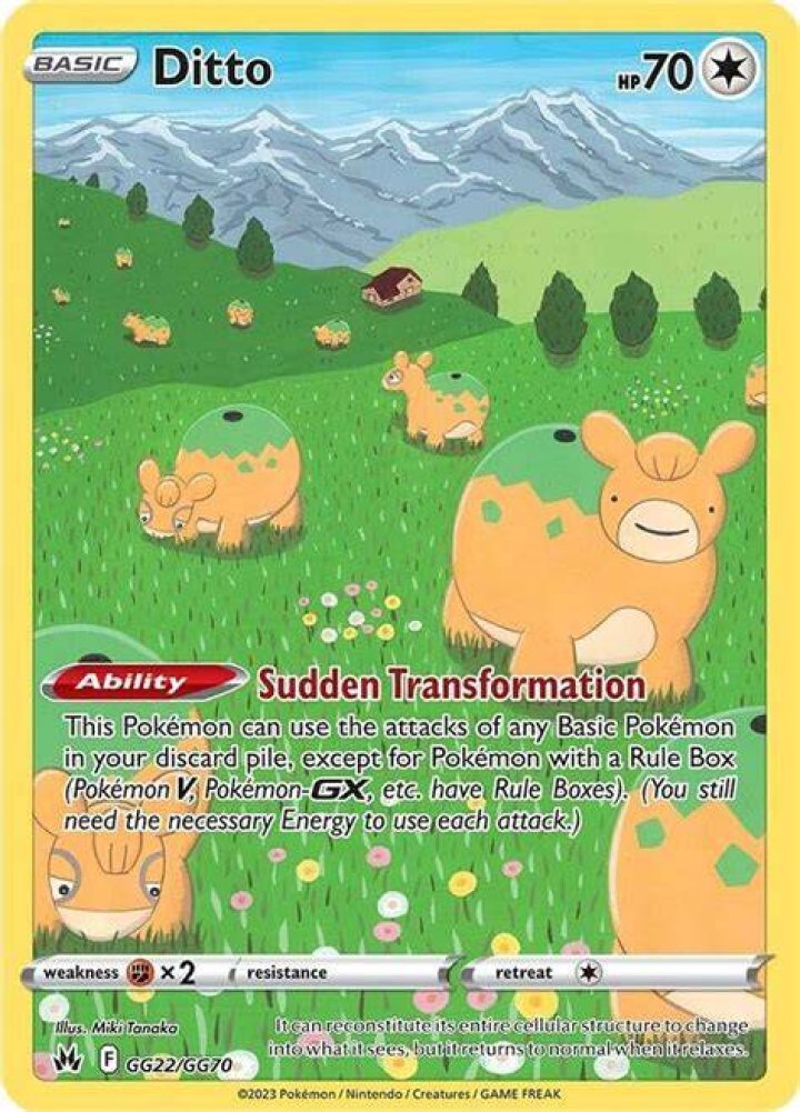Where is the third Bidoof?