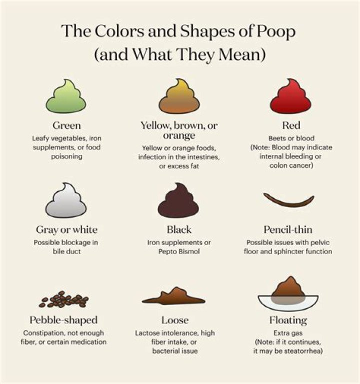 Why does my poop look like pudding?