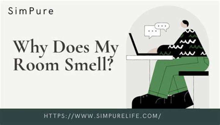 Why does my room smell like poo?